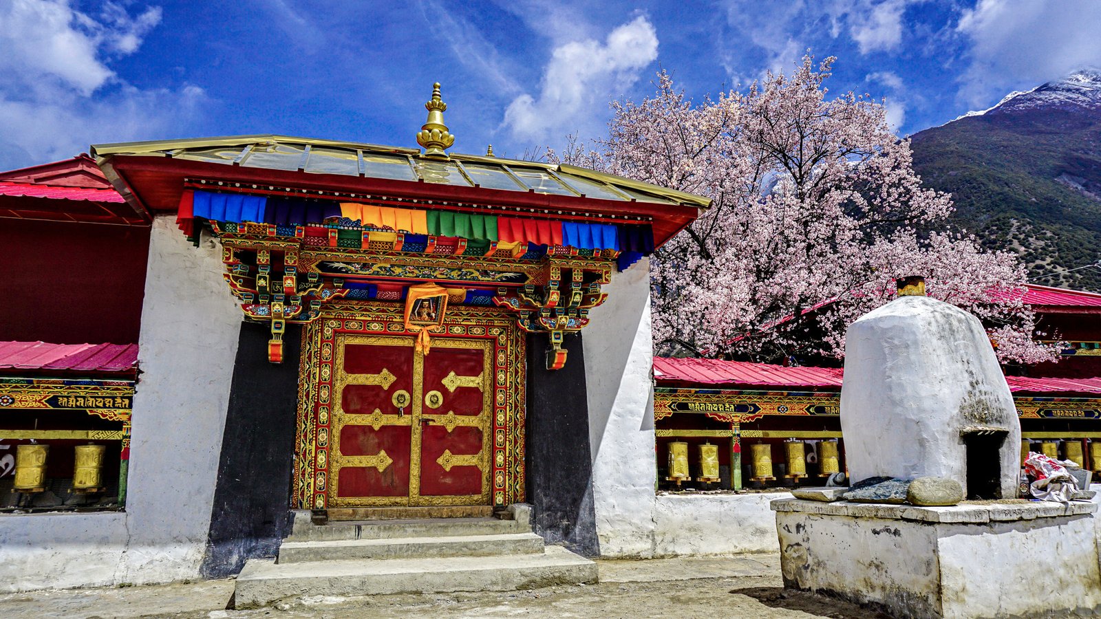 全部旅行摄影 79