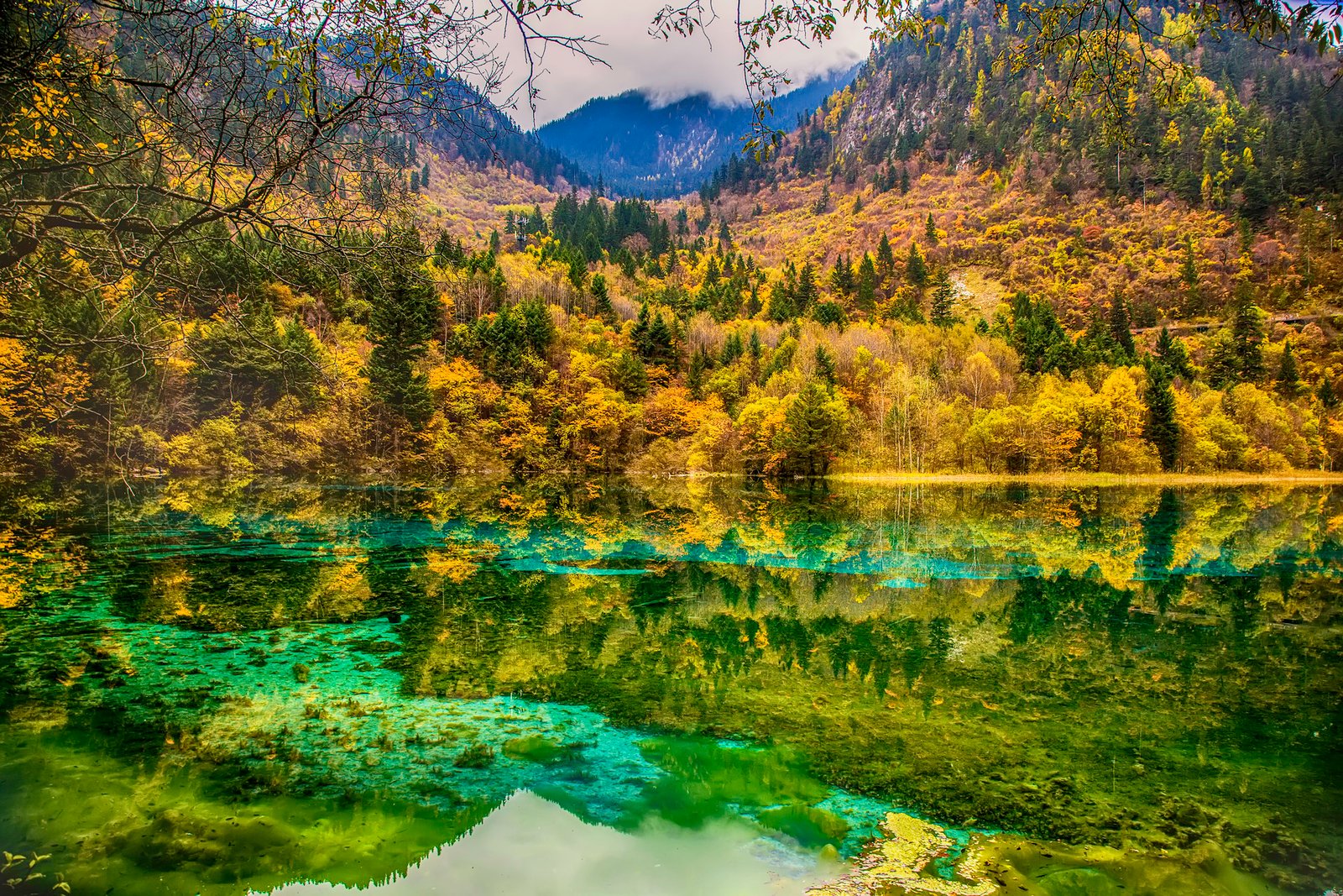 全部旅行风景 1