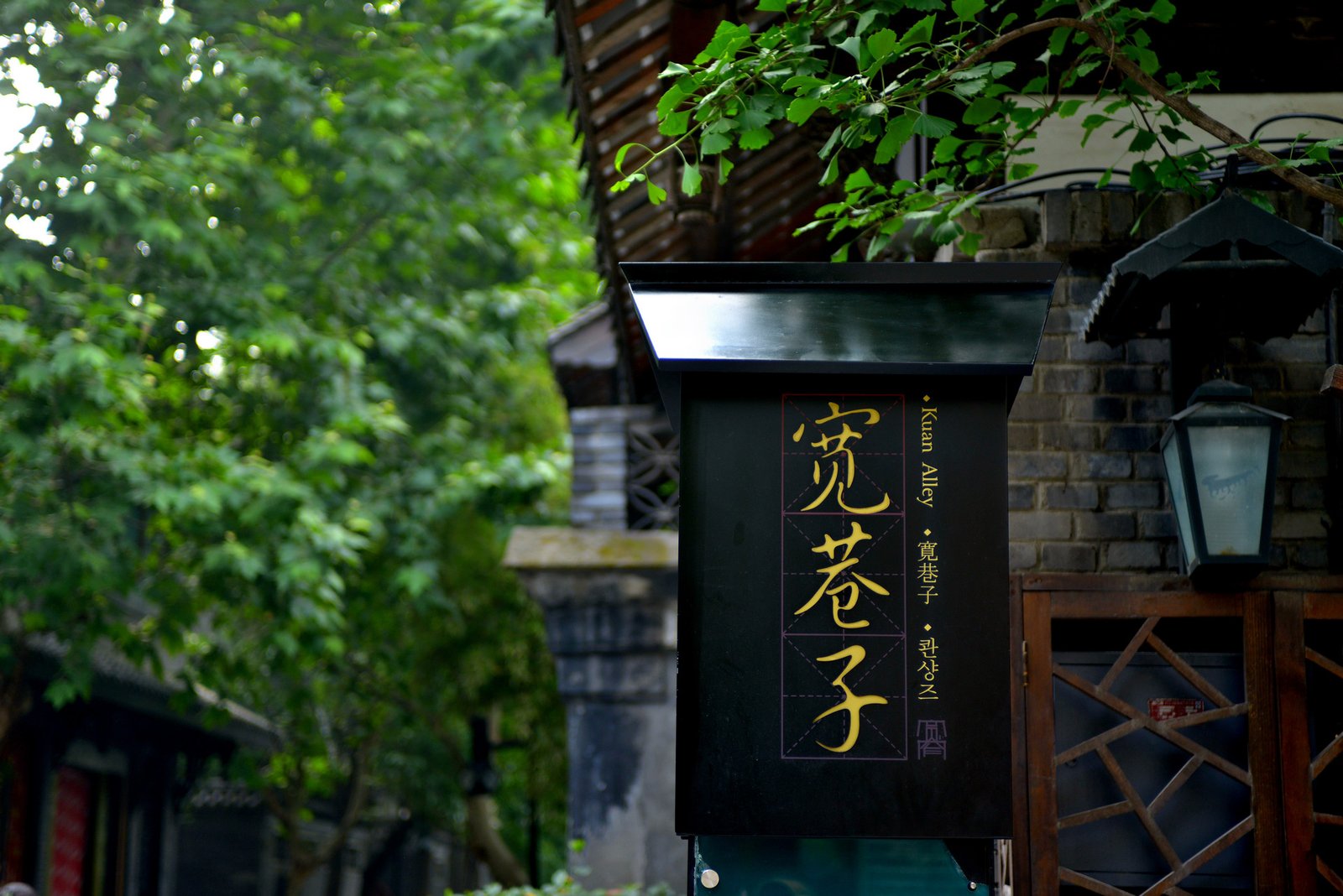 全部旅行风景 17