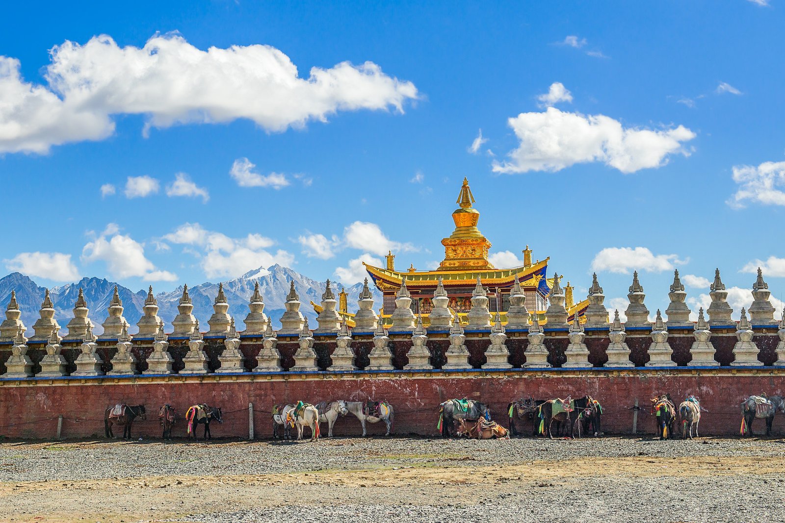 全部旅行风景 19