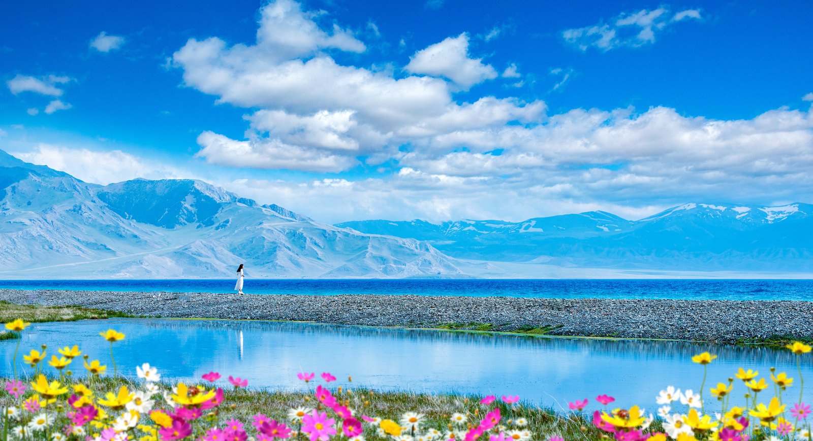 全部旅行摄影 56