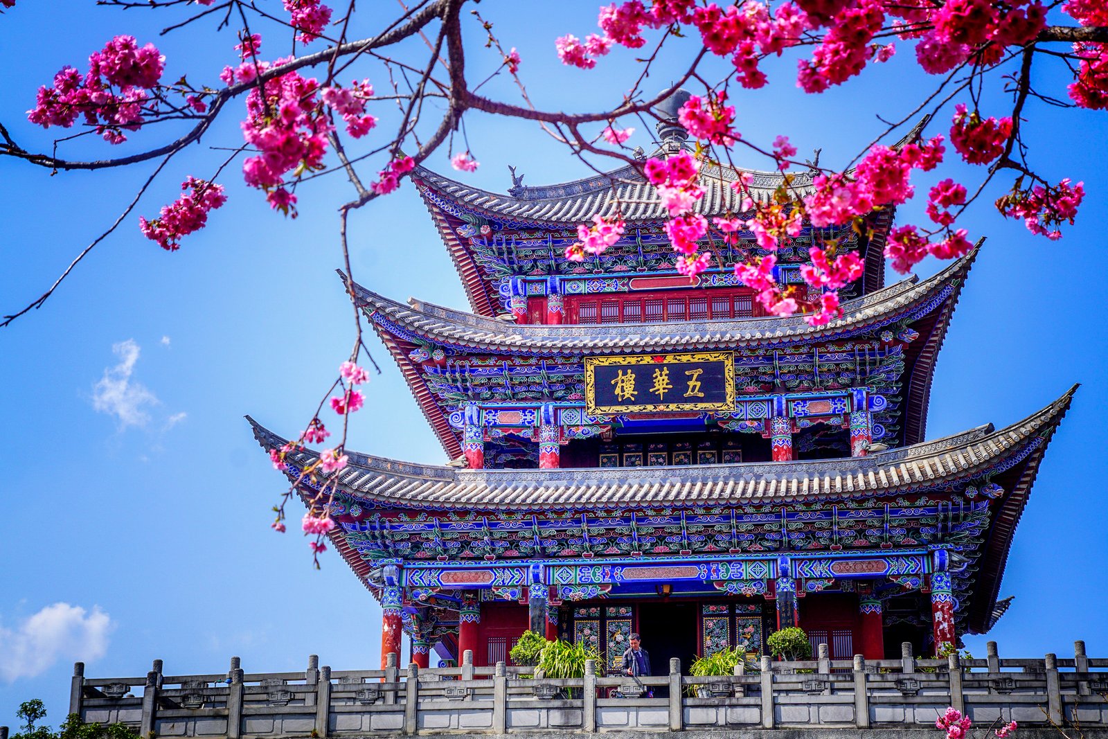全部旅行摄影 45