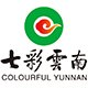 战略合作伙伴 6