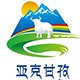 战略合作伙伴 7