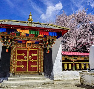 波密桃花沟-川藏线春季赏花胜地-西藏林芝